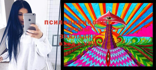 экстази Вяземский