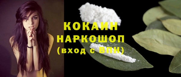 ешки Вязьма
